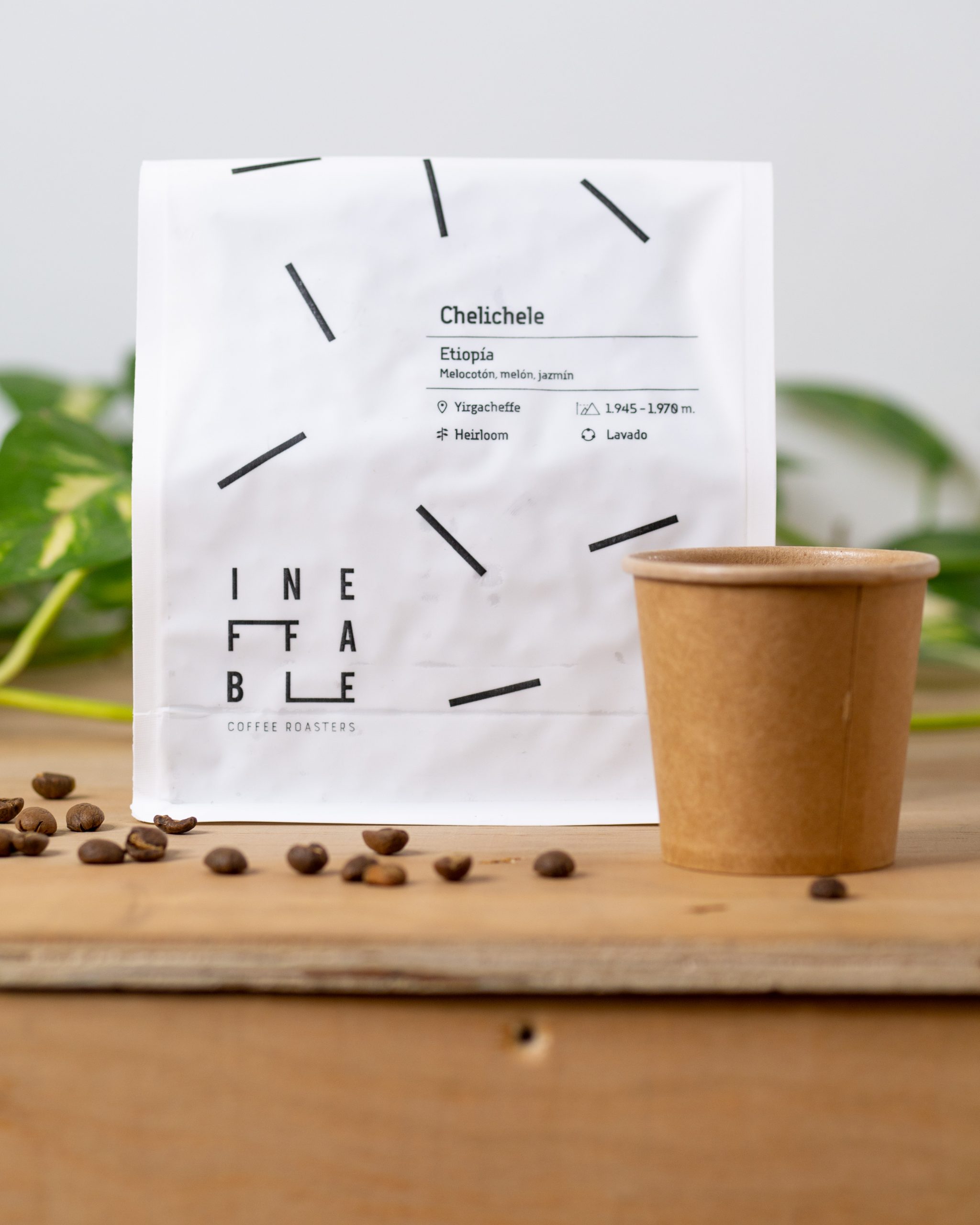 cheliche cafe cheliche